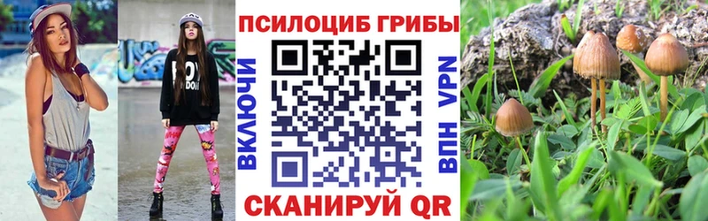 Галлюциногенные грибы MAGIC MUSHROOMS  что такое наркотик  Бабушкин 